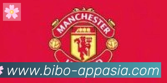 必博bibo官网体育合作伙伴